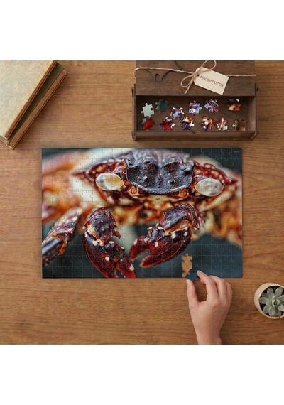 Yakın Çekim Kırmızı Yengeç Tasarımı 240 Parça Ahşap Puzzle Ahşap Kutuda Mpy40039