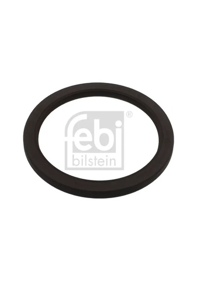 Krank Keçesi - Fiat Ulysse, Ducato, Scudo - Febı-bılsteın-11808