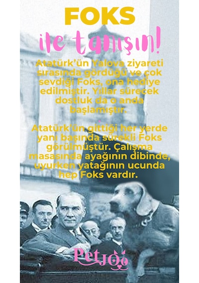 Petjoo 29.Foks Pembe-Sarı Qr'lı Köpek Künyesi