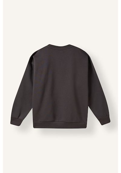 Defacto Overshirt Fit Bisiklet Yaka Baskılı Şerit Detaylı İçi Yumuşak Tüylü Sweatshirt Erkek Çocuk I6075a826wnar202 Antrasit-ar202