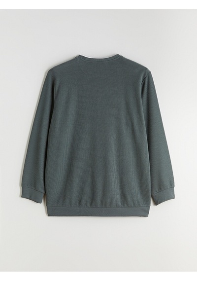 Lcwaıkıkı Classic Yeşil Büyük Beden Bisiklet Yaka Erkek Sweatshirt