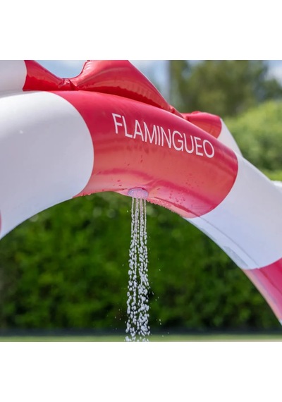 Flamingueo Kaydıraklı Fıskiyeli Şişme Oyun Havuzu Ness