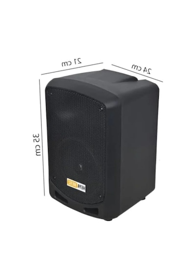 Taşınabilir Şarjlı Ses Sistemi Çift Mikrofon Bluetooth Usb 6.5 İnç 300w
