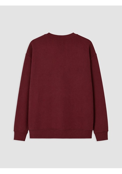 Lcw Vision Bordo Bisiklet Yaka Erkek Sweatshirt