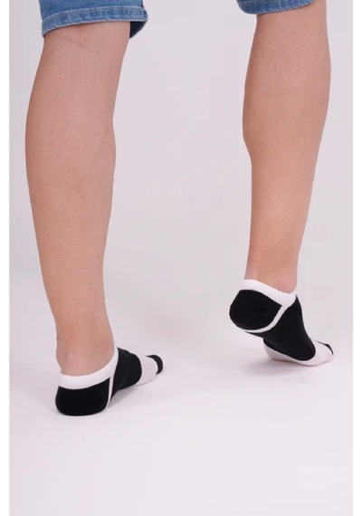 The Socks Company Erkek Çorap 23sdcr155p Renkli