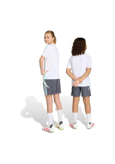 Adidas Messi Çocuk Gri Şort Gri