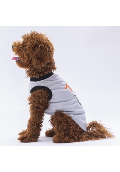 Pawstar Gri Travel Kedi Köpek Tişörtü Kıyafeti