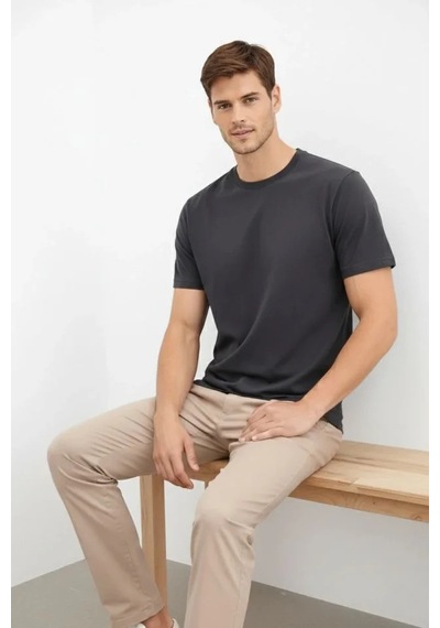 Efnaz Style Erkek Bisiklet Yaka Tişört Regular Kalıp Basic Pamuklu Günlük Kullanım T-shirt - Füme