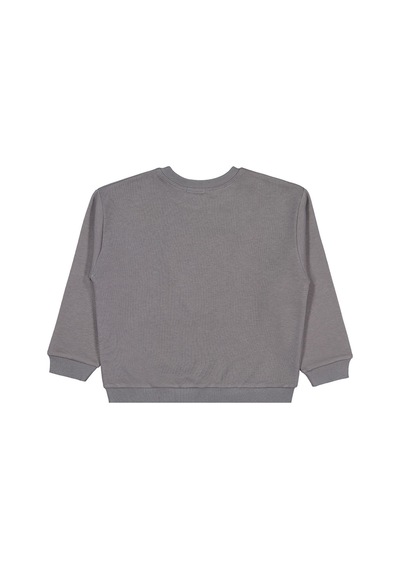 Civil Boys Aslan Nakışlı 6-9 Yaş Sweatshirt - Gri