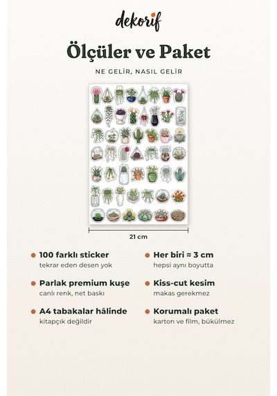 Kaktüs Ve Sukulent Sticker Seti 100 Adet - Saksı Bitki Çöl Çiçeği Botanik Ajanda Journal Çıkartma Çok Renkli
