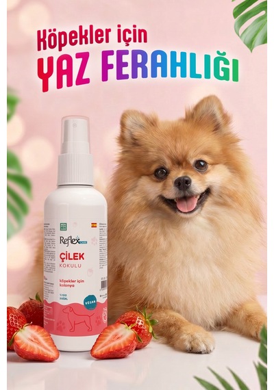 Reflex Care Çilek Kokulu Köpek Kolonyası 125 Ml