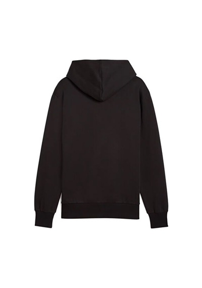 Puma Posterize Hoodie Erkek Günlük Sweatshirts 63029001 Renkli renkli