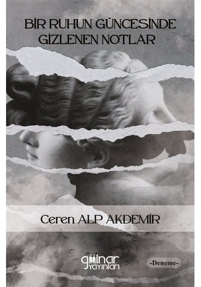 Bir Ruhun Güncesinde Gizlenen Notlar / Ceren Alp Akdemir