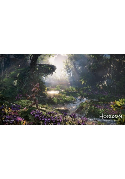Horizon Forbidden West Ps5
