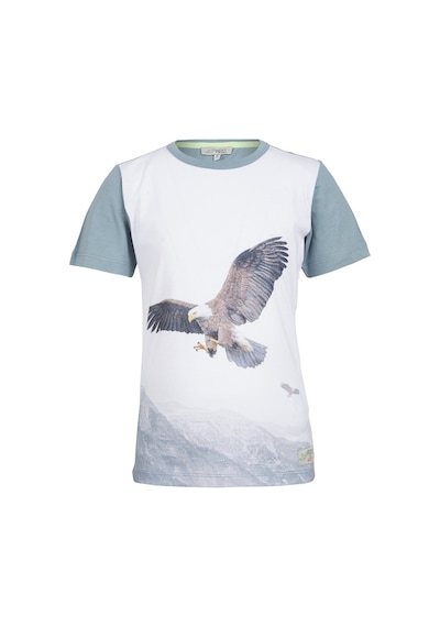 Brz Kids Dijital Baskılı Erkek Çocuk Kısa Kollu T-Shirt Çok Renkli (535255684) Çok Renkli