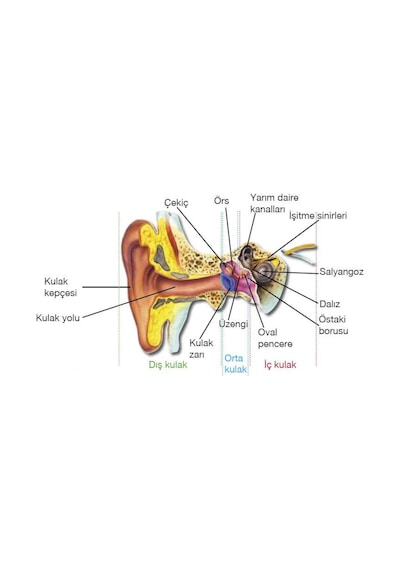 Vakumlu Ear Candle Doğal Kulak Temizleme Mumu Çubuğu x 5