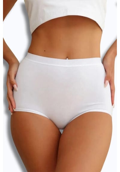 Berrak Kadın Külot 3'lü Paket-beyaz-2xl Çok Renkli