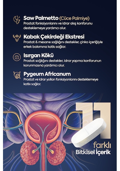 Proxen Saw Palmetto Complex Cüce Palmiye, Bal Kabağı Ve Beta Glukan İçeren Takviye Edici Gıda