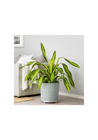 Ikea Nypon Plastik Saksı 32 Cm Gri