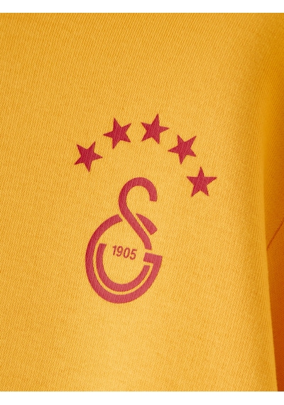 Gsstore Galatasaray Puma Çocuk Kapüşonlu Sweatshirt 78291425 Sarı