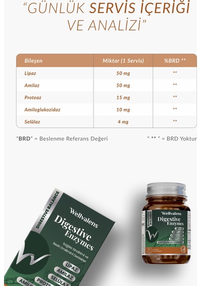 Wellvalens Digestive Enzymes İkili Paket 60 Tablet 5 Li Enzim Kompleksi, Sindirim Desteği