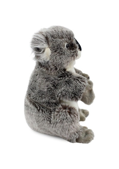 Koala Kukla (Tüm Beden) 26 cm