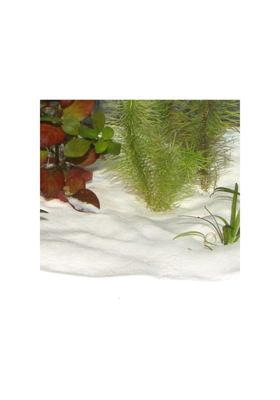 Sansıbar - 353 - Kar Beyazı 10 - Shopgpt - Kg Kum