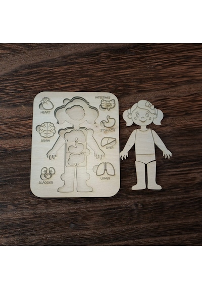 Ahşap Anatomi Puzzle Öğretici Organ Oyunu Kız/erkek