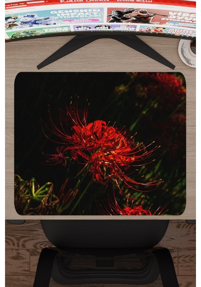 Higanbana Kaymaz Dikişli Kauçuk Oyuncu Mousepad V2 - 48x40 Xl Gaming Mouse Pad Fare Altlığı