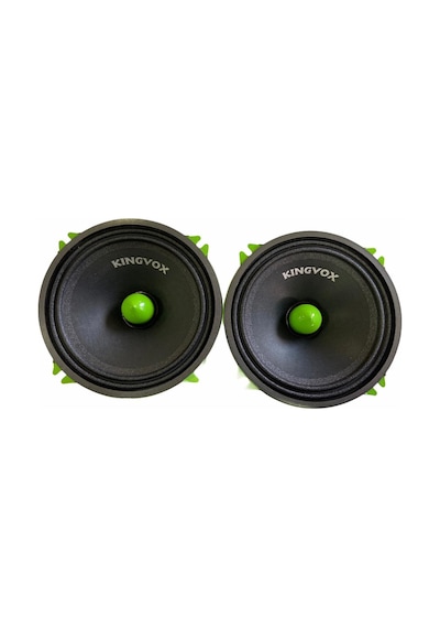 Kingvox KV-1313 Midrange Takımı 13 CM