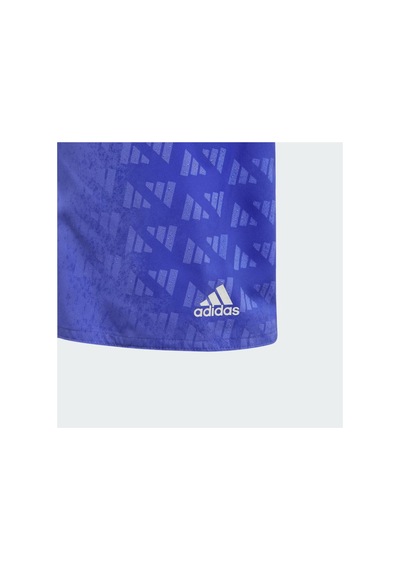 Adidas Water-reactive Swim Çocuk Şort Mayo Mor Mor