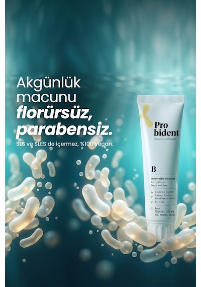 Probident Akgünlük Özütü İlaveli Probiyotik Diş Macunu 75 ML