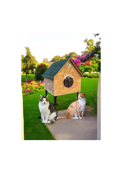 Kedi Evi Kedi Yuvası İç Ve Dış Mekan Su Ve Kar Yalıtımlı Özel Üretim Kedi Barınağı 55x45x65 Cm