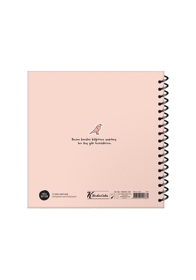 Hisli Şeyler 16x15 Çizgili Defter - Katlandığıma Değdi Çok Renkli