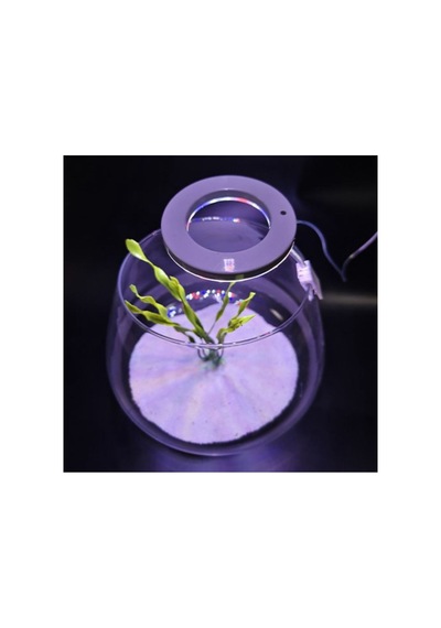 Led Yuvarlak Usb Fanus Aydınlatma