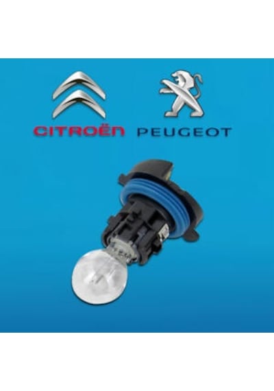 Gündüz Far Ampülü Komple Duylu 12V-Hp24W 3008-5008-C5