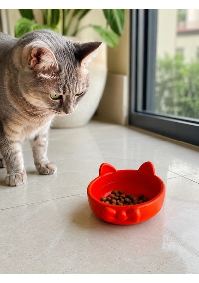 Papyon Model Beton Kedi Köpek Mama Ve Su Kabı 16 Cm Çap - Turuncu