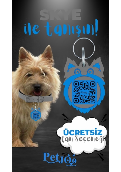 Petjoo 6.Skye Mavi-Gri Qr'lı Köpek Künyesi