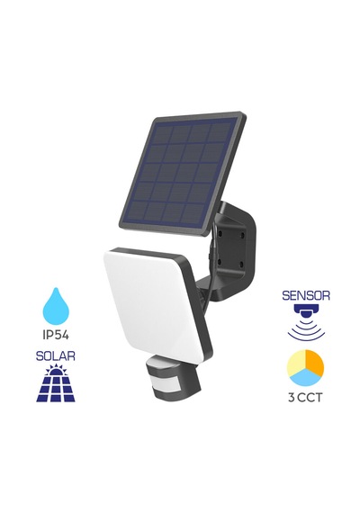 Braytron Bg36-00281 Siyah Çift Yönlü Dış Mekan Bahçe Apliği - Ip54 Su Geçirmez Alüminyum Gövde