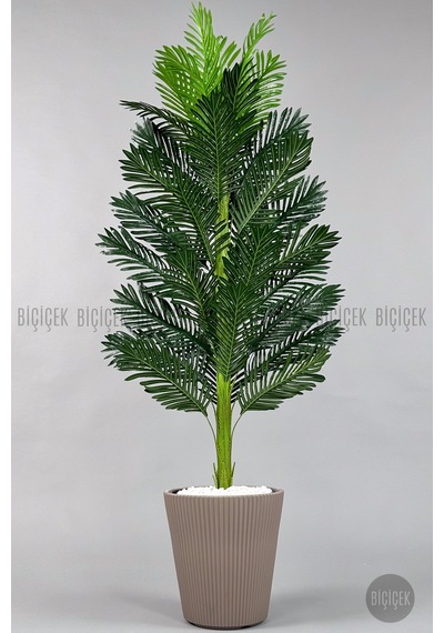 Yapay Areka Ağacı 160-180 Cm Ss