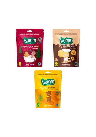 Organik Vegan Zencefilli Tahinli Ballı Kinoalı Kurabiyeler Atıştırmalık Paketi - 3 Adet 3 Çeşit 165 G