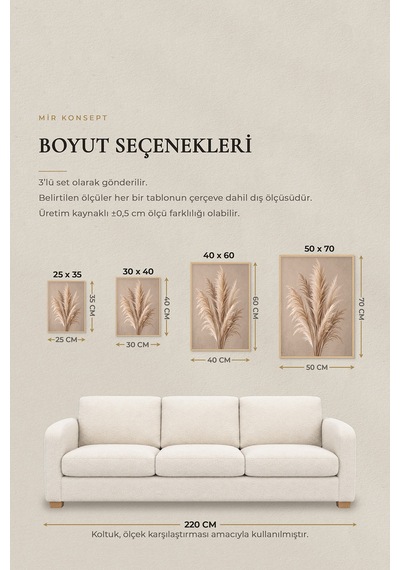 3'lü Ahşap Çerçeveli Mdf Tablo Seti Uv Baskı Krem Çiçek Pampas Bej Salon Duvar Dekoru Renk: Doğal Ahşap