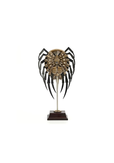 Steampunk Serisi Kaideli At Nalı Yengeçi Horseshoe Crab Biblo