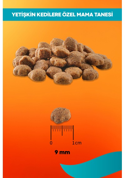 Midos Balıklı Ve Pirinçli Kısırlaştırılmış Yetişkin Kedi 15 Kg