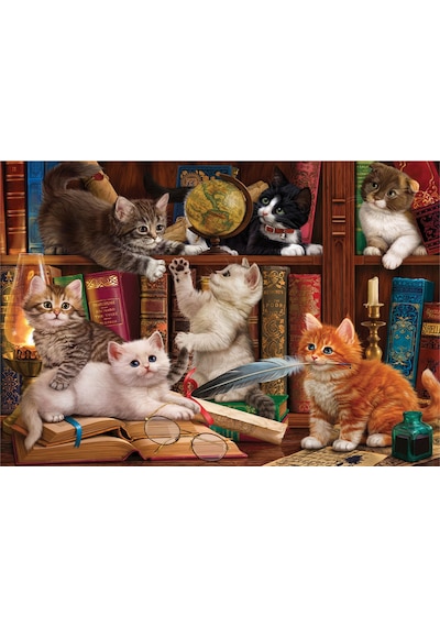 Anatolian 500 Parçalık Puzzle - Kediler ve Kitaplar 3618