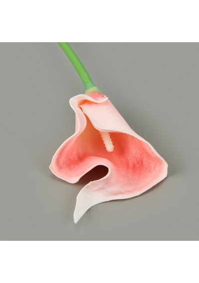 Dal Gala Çiçeği - Asorti - 33 Cm Çok Renkli