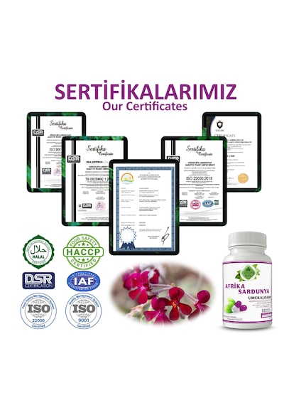 Gökçek Şifa Afrika Sardunya 1000 MG Bitkisel Takviye Edici Gıda 60 Kapsül