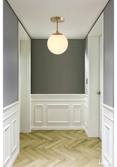 Molli Modern Plofonyer Globe Camlı Avize Siyah