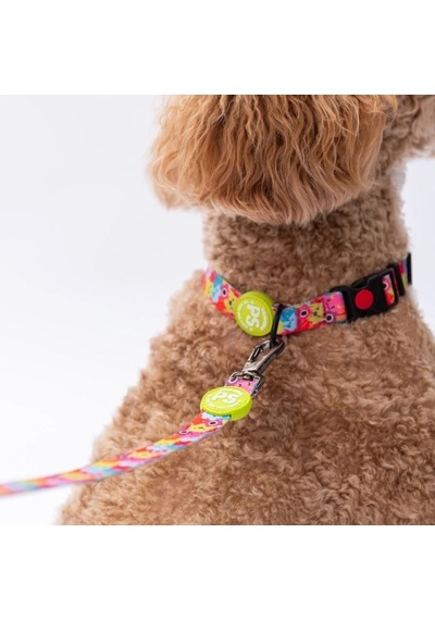 Pawstar Monsters Boyun Tasması M Boyun Çevresi: 32 Cm X 48 Cm Çok Renkli