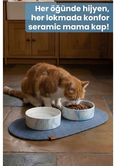 2'li Seramik Paspaslı Mama Kabı Mavi-kaymaz Tabanlı Kedi Köpek Mama Ve Su Kabı